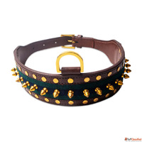 Why High Quality Dog Collars Matter for Your Pet's Comf...