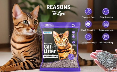 Find the Perfect Cat Litter - Odor Control No Mess No Fuss