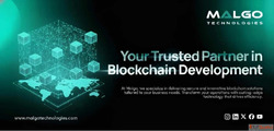 Reliable Blockchain Development Company for Your Business Ne...