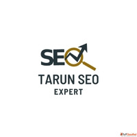 Tarun SEO Expert Digital Marketing Services Website Design S...