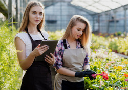 Best College For B.Sc. Hons. Agriculture Admission