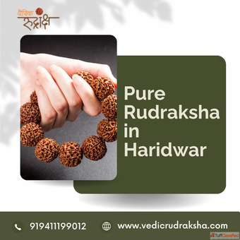 Vedic Rudraksha Your Sacred Source for Meditation Wellness and Divine Protection