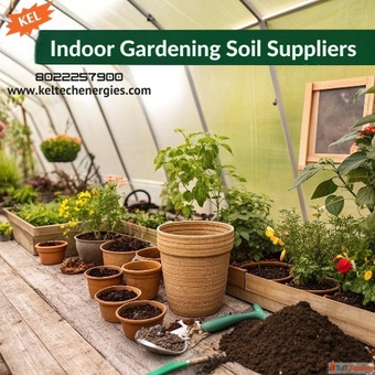 Indoor Gardening Soil Suppliers
