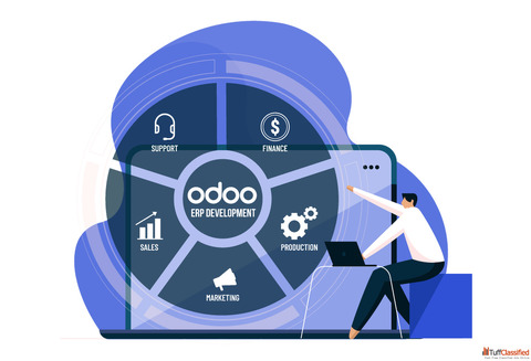 Professional Odoo ERP Development Company