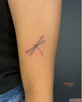 Dragonfly Tattoo Transformation Grace Tattoo Art Tattoo Studio in Chennai - Irezumi Tattoo Studio