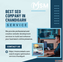 Best Seo Company in Chandigarh