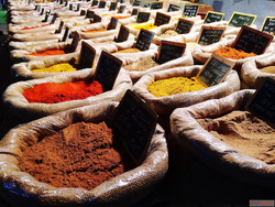 ISO Certified Spice Manufacturing Company in India - Global ...