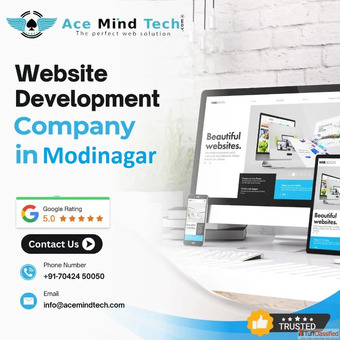 Website Development Company In Modinagar