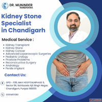 Best kidney stone specialist in Chandigarh