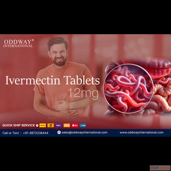 Trusted Business-to-Business Partner Around the World for Ivermectin Tablets 12 mg Global Wholesale 