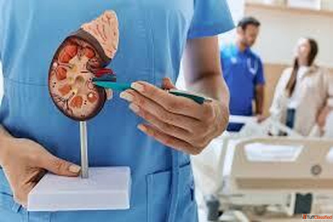 Best Homeopathic Doctor for Kidney Failure in Agra India