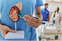 Best Homeopathic Doctor for Kidney Failure in Agra India