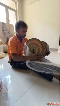 Affordable Packers and Movers in Greater Noida - Safe Efficient Relocation Services