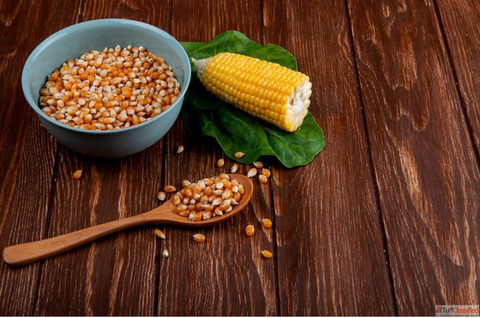 Benefits of corn ddgs