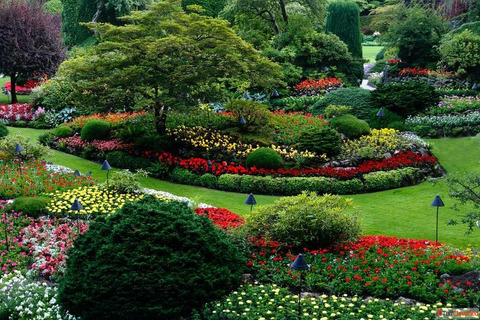 Beautiful Landscaping Ideas to Transform Your Garden