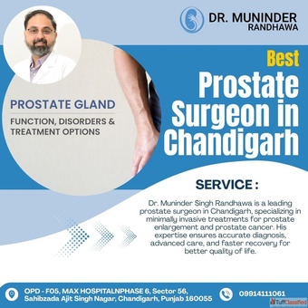 RIRS Specialist in Chandigarh