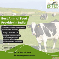 animal feed provider in india