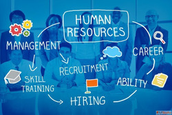 Build a Future-Ready Workforce with Fractional CHRO Services