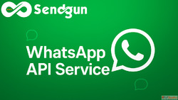 Why Every Business Needs a WhatsApp API Service Today