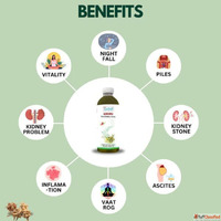 Ayurvedic Gokharu Panchang Juice for Men's Health Sampu...