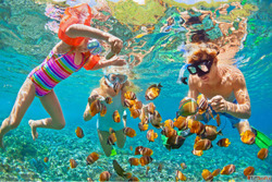 Book Andaman Holiday Tour Packages Online-WMTC