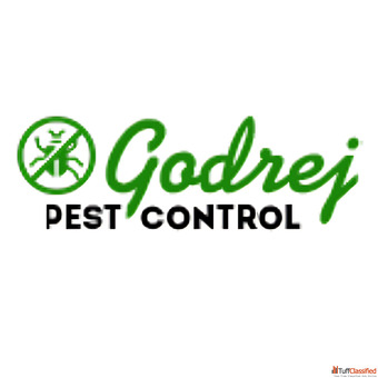 Crawling Pest Control in Noida