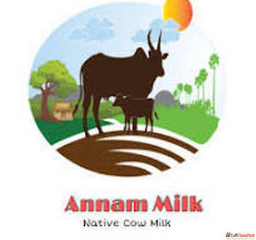 Organic milk in chennai