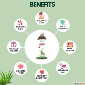 Aloe Vera Wheat Grass Juice for Cholesterol Control Immunity Sampuran Swadeshi