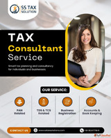 Affordable Gem Portal Consultant Near Me - SS Tax Solution B...