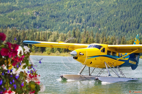 duhiuregtueithiuetetet