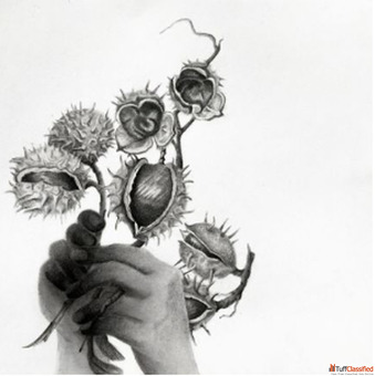 Group Exhibition of Paintings and Graphics Shapeshifters Storytellers Archer Art Gallery