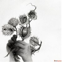 Group Exhibition of Paintings and Graphics Shapeshifters Sto...