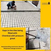 Expert Basement waterproofing Leakage repair in Thane Mumbai