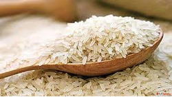 Non Basmati Rice Suppliers in Mumbai