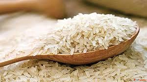 Non Basmati Rice Suppliers in Delhi