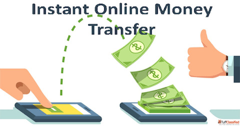 Online Money Transfer Software