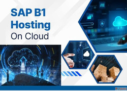 SAP B1 Hosting on Cloud in Noida - CloudAntique