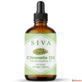 Buy the Best citronella Essential Oil