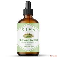 Buy the Best citronella Essential Oil