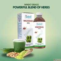 Pure Wheatgrass Juice for Detox Immunity Sampuran Swadeshi