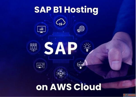 SAP B1 Hosting on AWS Cloud - CloudAntique Noida