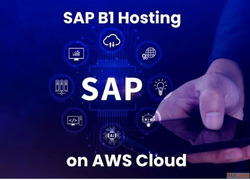 SAP B1 Hosting on AWS Cloud - CloudAntique Noida