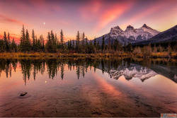 Looking for the best platform to explore and stream Hindi mo...