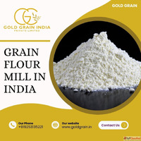 Grain Flour Mill in India