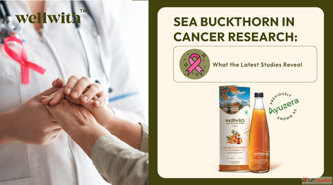 Sea Buckthorn in Cancer Research
