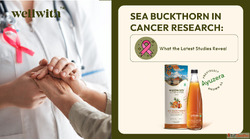 Sea Buckthorn in Cancer Research