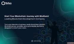 Looking to start your blockchain journey