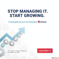 IT Managed Services by Strawberry Infotech Expert IT Staffin...