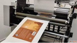 Offset Printing Trends Every Business Should Know in 2025