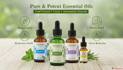 Essential Oils Suppliers How to Choose the Right Partner for...